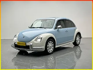 ORA Ballet Cat 2022 купить из Китая, цена 1 657 000 ₽ — Suifenhe Auto