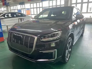 Audi Q2L e-tron 2021