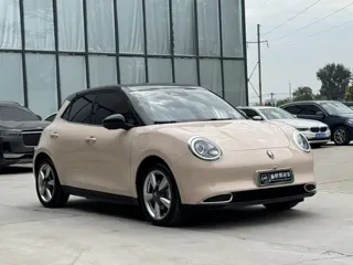 ORA Good Cat 2023 купить из Китая, цена 1 643 000 ₽ — Suifenhe Auto