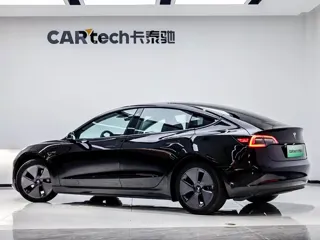 Tesla Model 3 2023 купить из Китая, цена 4 910 000 ₽ — Suifenhe Auto
