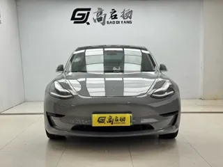 Tesla Model 3 2020 купить из Китая, цена 3 674 000 ₽ — Suifenhe Auto
