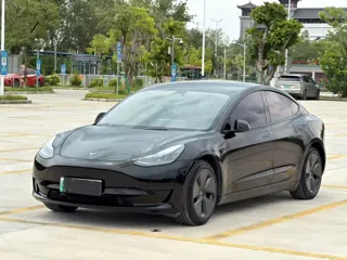 Tesla Model 3 2023 купить из Китая, цена 4 852 000 ₽ — Suifenhe Auto