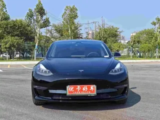 Tesla Model 3 2020 купить из Китая, цена 3 975 000 ₽ — Suifenhe Auto
