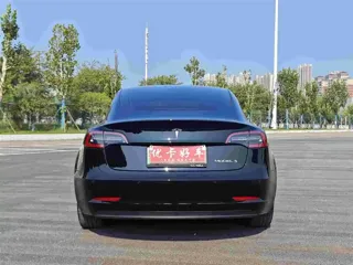 Tesla Model 3 2020 купить из Китая, цена 3 975 000 ₽ — Suifenhe Auto