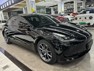 Tesla Model 3 2022 купить из Китая, цена 4 687 000 ₽ — Suifenhe Auto