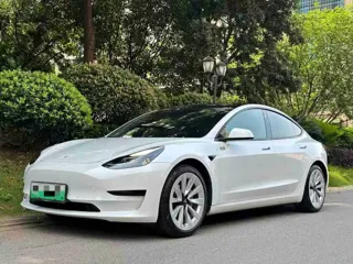 Tesla Model 3 2021 купить из Китая, цена 4 395 000 ₽ — Suifenhe Auto