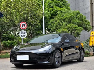 Tesla Model 3 2023 купить из Китая, цена 4 943 000 ₽ — Suifenhe Auto