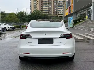 Tesla Model 3 2020 купить из Китая, цена 3 935 000 ₽ — Suifenhe Auto