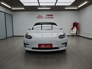 Tesla Model 3 2022 купить из Китая, цена 4 563 000 ₽ — Suifenhe Auto