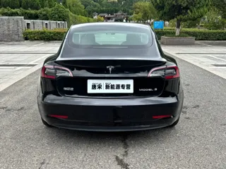Tesla Model 3 2020 купить из Китая, цена 3 811 000 ₽ — Suifenhe Auto