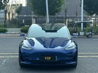 Tesla Model 3 2020 купить из Китая, цена 3 924 000 ₽ — Suifenhe Auto