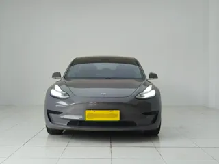 Tesla Model 3 2020 купить из Китая, цена 4 050 000 ₽ — Suifenhe Auto
