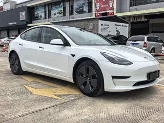 Tesla Model 3 2021 купить из Китая, цена 4 436 000 ₽ — Suifenhe Auto