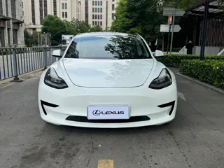 Tesla Model 3 2019 купить из Китая, цена 3 541 000 ₽ — Suifenhe Auto