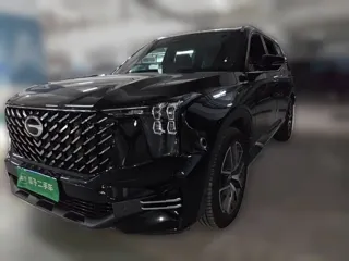 GAC Trumpchi GS8 2024 купить из Китая, цена 4 032 000 ₽ — Suifenhe Auto