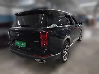 GAC Trumpchi GS8 2024 купить из Китая, цена 4 032 000 ₽ — Suifenhe Auto