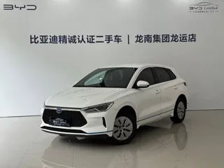BYD e2 2021