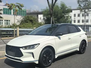BYD e2 2021