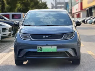 BYD Dolphin 2024 купить из Китая, цена 1 609 000 ₽ — Suifenhe Auto
