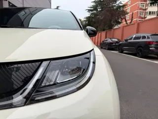 BYD Dolphin 2024 купить из Китая, цена 1 664 000 ₽ — Suifenhe Auto
