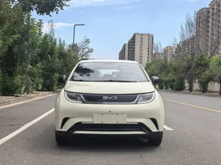 BYD Dolphin 2026 купить из Китая, цена 1 737 000 ₽ — Suifenhe Auto