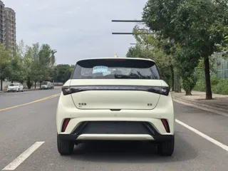 BYD Dolphin 2026 купить из Китая, цена 1 737 000 ₽ — Suifenhe Auto