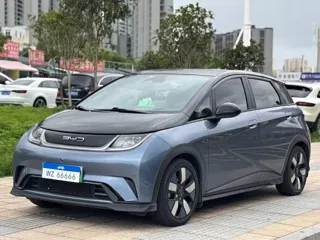 BYD Dolphin 2023 купить из Китая, цена 3 087 000 ₽ — Suifenhe Auto