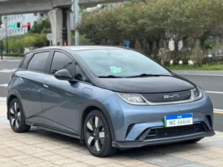 BYD Dolphin 2023 купить из Китая, цена 3 087 000 ₽ — Suifenhe Auto