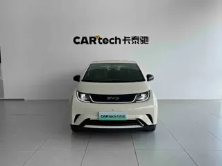 BYD Dolphin 2025 купить из Китая, цена 1 664 000 ₽ — Suifenhe Auto
