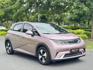 BYD Dolphin 2024 купить из Китая, цена 1 554 000 ₽ — Suifenhe Auto