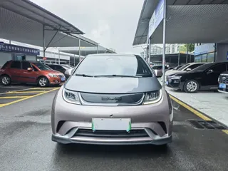 BYD Dolphin 2023 купить из Китая, цена 3 211 000 ₽ — Suifenhe Auto