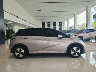 BYD Dolphin 2023 купить из Китая, цена 1 355 000 ₽ — Suifenhe Auto