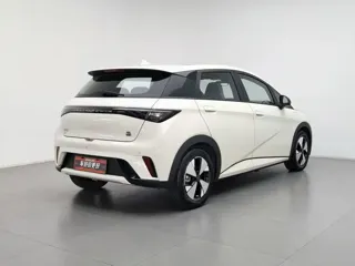 BYD Dolphin 2023 купить из Китая, цена 1 520 000 ₽ — Suifenhe Auto