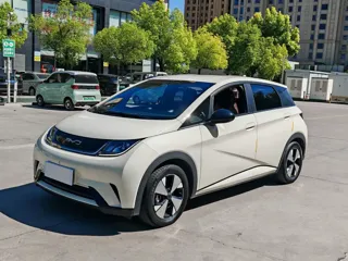 BYD Dolphin 2024 купить из Китая, цена 1 463 000 ₽ — Suifenhe Auto