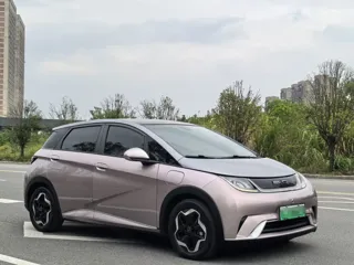 BYD Dolphin 2022 купить из Китая, цена 1 428 000 ₽ — Suifenhe Auto