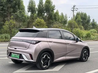 BYD Dolphin 2022 купить из Китая, цена 1 428 000 ₽ — Suifenhe Auto